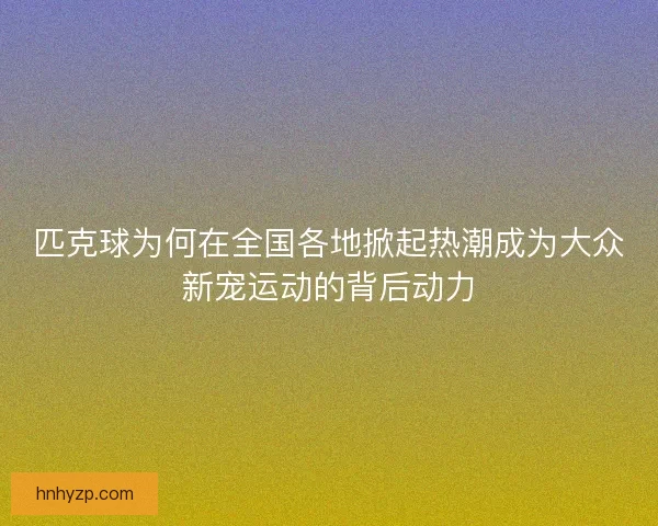 匹克球为何在全国各地掀起热潮成为大众新宠运动的背后动力